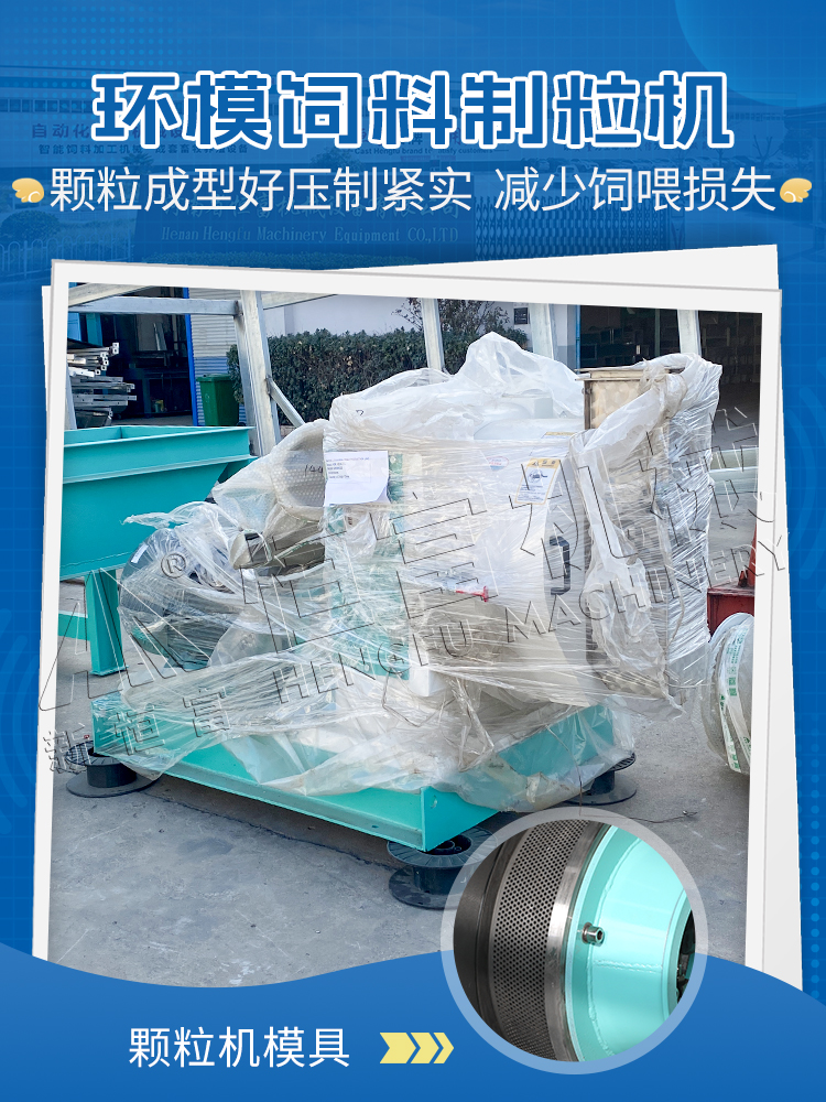 环模
