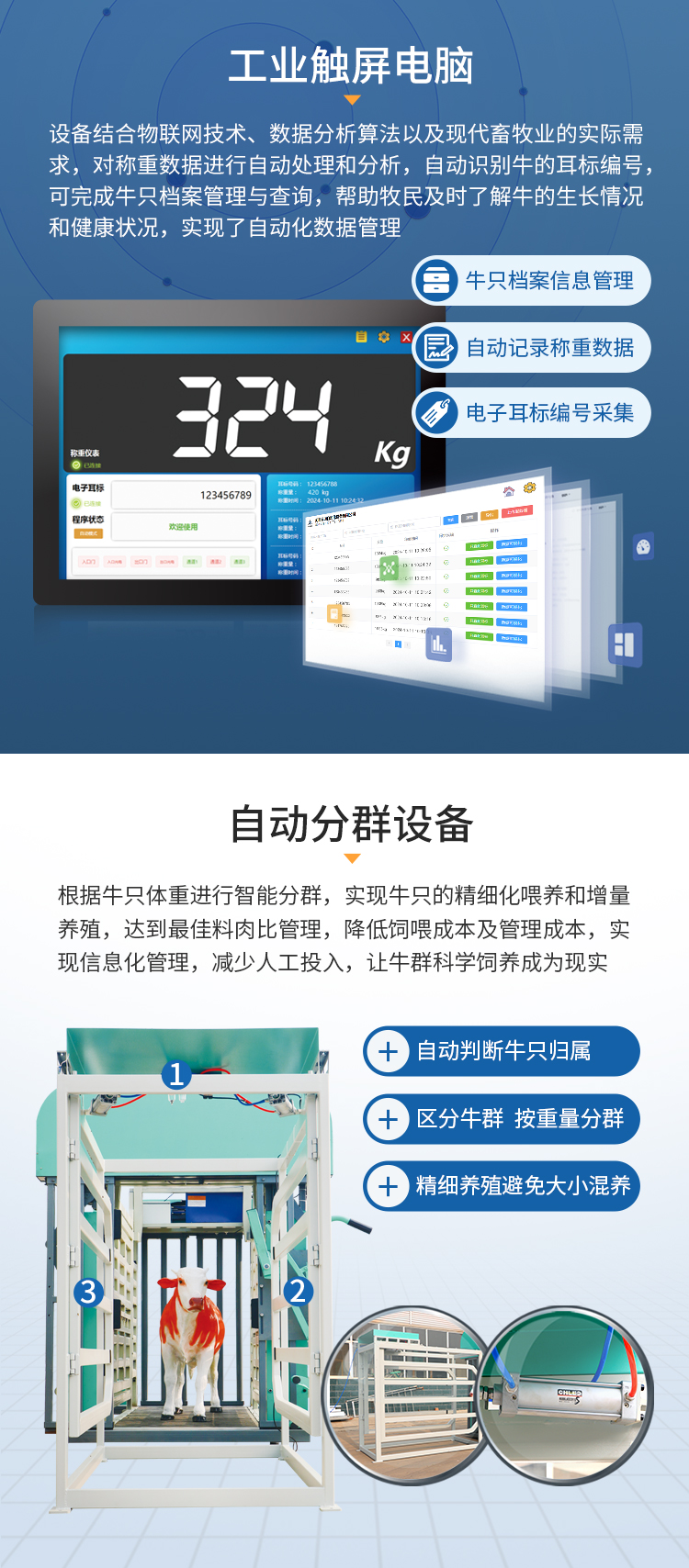 牛保定称重分群_04