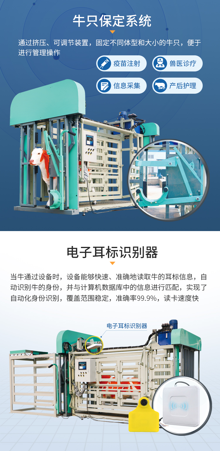 牛保定称重分群_03