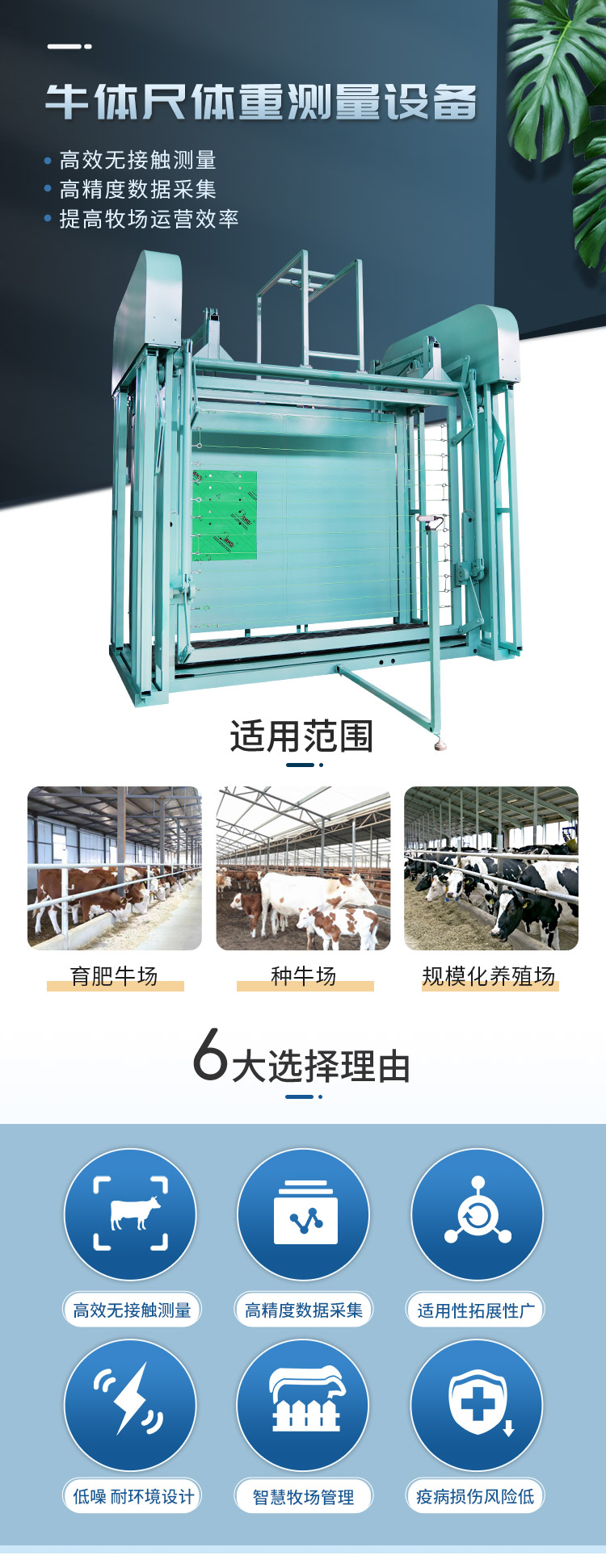 牛体尺修改1_01