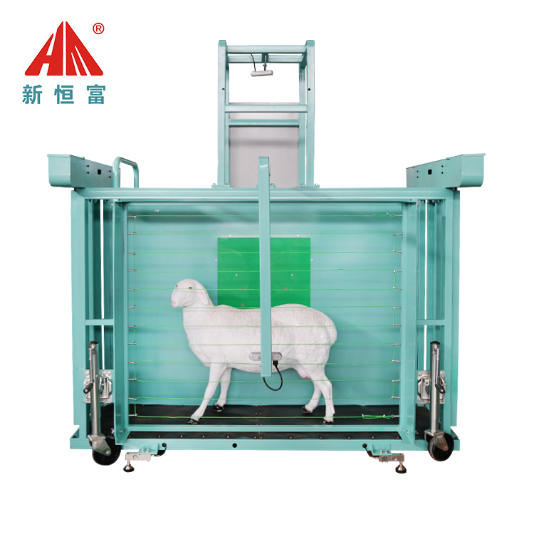 羊体尺体重测量设备